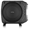 Infinity BassLink