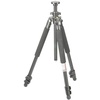 Giottos MTL 9251B
