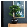 Kunstpflanze Bonsai Grün 47 cm 420006