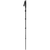 Gitzo Einbein Serie 3 Carbon 6X (GM3551)
