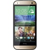 HTC One mini 2 gold mit Vertrag HTC One mini 2 gold mit Vertrag