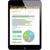 APPLE iPad mini 32GB Wi-Fi schwarz