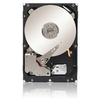 Seagate Constellation ES.2 2TB (ST32000645NS)