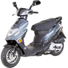 Rex Monza 50 ccm 3,5 PS 45 km/h dunkelgrau Rex Monza 50 ccm 3,5 PS 45 km/h dunkelgrau