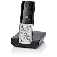 Gigaset C300