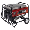 Einhell RT-PG 5500 D Einhell RT-PG 5500 D