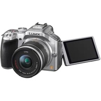 Panasonic Lumix DMC-G5K silber + G Vario 14-42mm