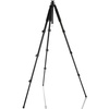 Walimex pro FT-665T + Pro-3D Neiger