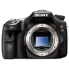 Sony SLT-A65V + Sigma 18-200mm II DC HSM Sony SLT-A65V + Sigma 18-200mm II DC HSM