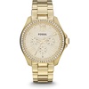 Fossil Cecile AM4482 Fossil Cecile AM4482
