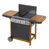 campingaz Gasgrill Woody 3 campingaz Gasgrill Woody 3