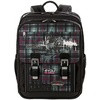 4You Classic Plus Limited Edition 38/2 Grizzly