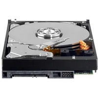 Western Digital Green 500GB (WD5000AADS)