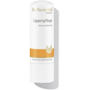 Dr. Hauschka Lippenpflege Stift 4,9 g Dr. Hauschka Lippenpflege Stift 4,9 g