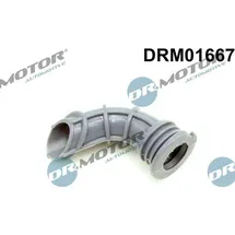 DR.MOTOR AUTOMOTIVE Dichtung, Leerlaufregelventil-Luftversorgung