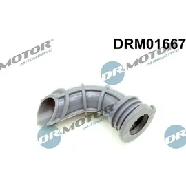DR.MOTOR AUTOMOTIVE Dichtung, Leerlaufregelventil-Luftversorgung