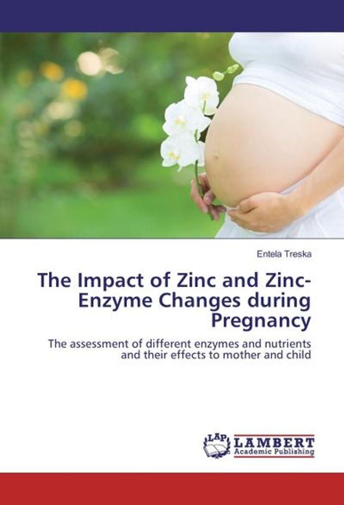 The Impact of Zinc and Zinc-Enzyme Changes during Pregnancy