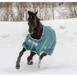 Bucas Atlantic Turnout 200 g, Outdoordecke, Weidedecke in zwei Farben, Farbe:Atlantic/Silver, Größe:145 - Grün