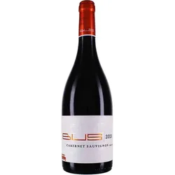 Bus Cabernet Sauvignon trocken 2013 - Rotwein / trocken - Deutschland / Pfalz - Cabernet Sauvignon / Weingut Bus