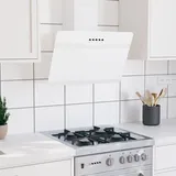 vidaXL Dunstabzugshaube 60 cm Stahl und Hartglas Weiß