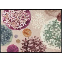 Wash+Dry Hydra Haze 60 x 85 cm Mehrfarbig