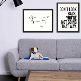 LIONTO Kühlmatte L 100 x 60 cm blau