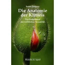 Die Anatomie der Klitoris