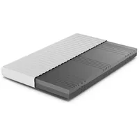 Betten-ABC KSP-500 7-Zonen Kaltschaum 160 x 200 cm H2/H3