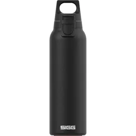 Sigg 8998.10 Thermosflasche 0,55 l