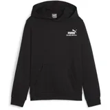 Puma ESS+ Mid 90s Hoodie Tr B Sweat