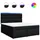 vidaXL Boxspringbett 180 x 200 cm Schwarz