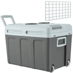 TecTake GmbH Elektrische Kühl- und Wärmebox mit Griffen und Rollen, 40 l - grau