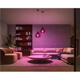 Philips Hue White Ambiance E27 1100 lm Starter-Set 8 W 2 Stk. + Dimmschalter