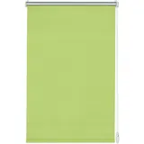 GARDINIA EasyFix Rollo Thermo 120 x 150 cm Apfelgrün