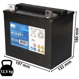 Sonnenschein / Exide Akku kompatibel E-Mobile Casacare Strider Midi3 / Midi4