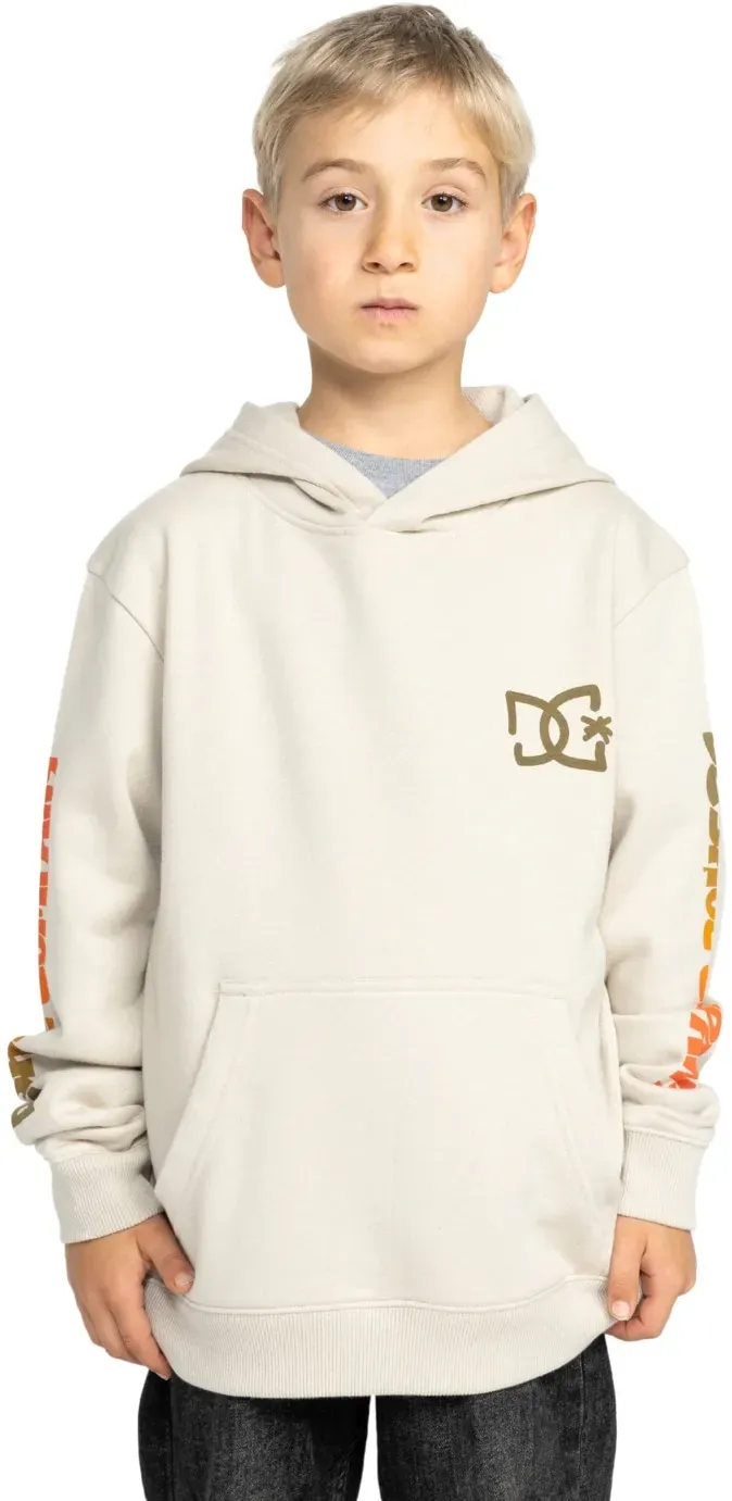 Hoodie DC SHOES 