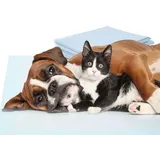 MASCOTAS - 8 Windeln N3232, Lernmatte für Töpfchentraining, 60 x 60 cm