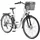 Telefunken Multitalent RC822 28 Zoll RH 48 cm weiß inkl. Fahrradkorb