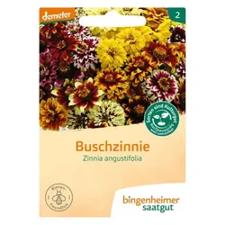 Bingenheimer Saatgut Buschzinnie