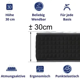 DAGOSTINO HOME 7-Zonen Kaltschaum 160 x 200 cm H3