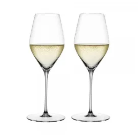 Spiegelau Hi-Lite Champagnerglas 0,347 l 2 St.