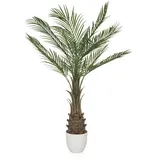 HJH Office Kunstpflanze DRACAENA 120 cm Zimmerpflanze, künstliche Pflanze