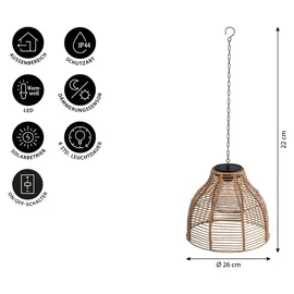 Dehner Solarleuchte Kunststoff/Metall Ø 26 cm/H 22 cm 1 Stück natur/braun