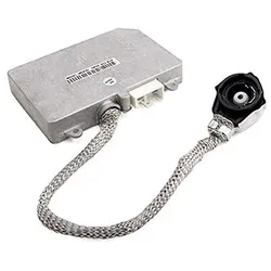OEM Ballast D2/4(DW) 12V