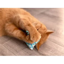 Aumüller Baldrian Katzenspielkissen Baldini - 2er Set