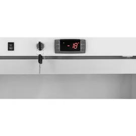 Royal Catering Gefrierschrank - 580 L - - Glastür - Silbern - Kältemittel R290