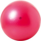 Togu Theragym Ball ABS, 95 cm,