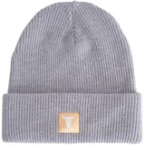 Stier Beanie Grey Melange