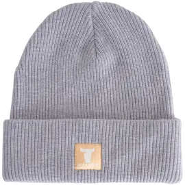 Stier Beanie Grey Melange