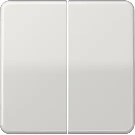 Jung Steuertaste 2-fach CD 1702 LG